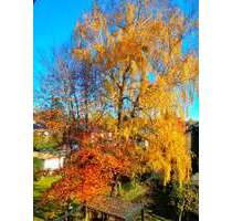 Wohnung zum Kaufen in Kirchseeon 349.500,00 € 74 m²