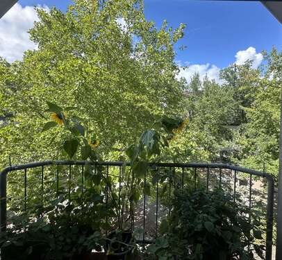 Foto - Wohnung zum Mieten in Kaiserslautern 660,00 € 59 m²