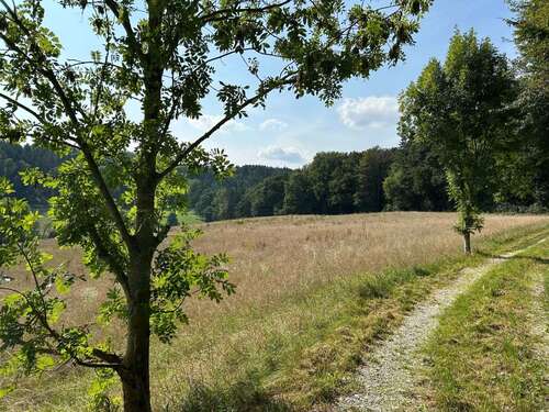 Foto - Grundstück in Moosthenning 269.000,00 € 18230 m²