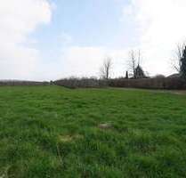 Grundstück zu verkaufen in Haselau 240.000,00 € 1273 m²