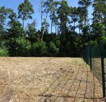 Grundstück zu verkaufen in Bad Belzig 88.600,00 € 554 m²