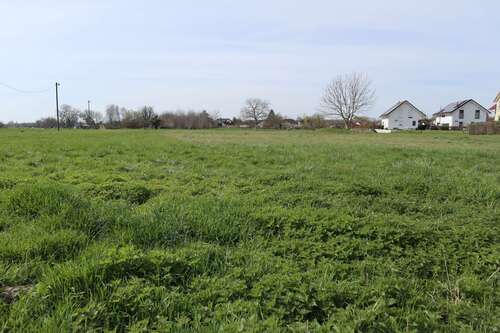 Foto - Grundstück in Burkheim 135.000,00 € 3272 m²