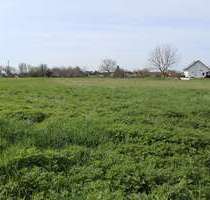Grundstück in Burkheim 135.000,00 € 3272 m²