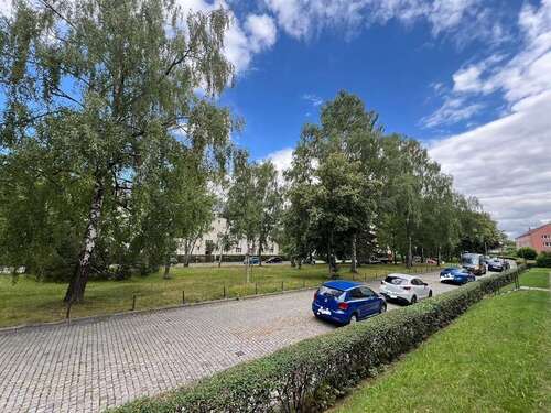 Foto - Wohnung zum Mieten in Chemnitz 245,00 € 44.29 m²