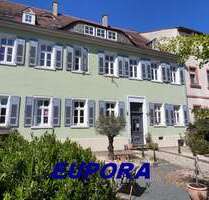 Büro in Kirchheimbolanden 530,00 € 31.88 m²