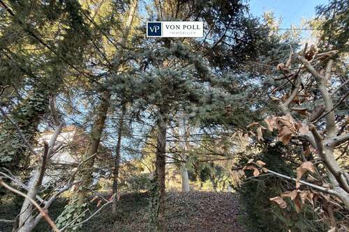 Foto - Grundstück zu verkaufen in Jena 495.000,00 € 850 m²