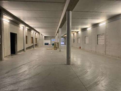 Foto - Halle in Sörgenloch 4.800,00 € 558 m²