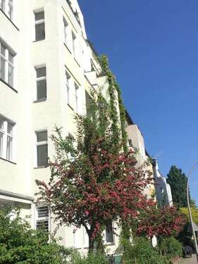 Foto - Wohnung zum Kaufen in Berlin 980.000,00 € 202 m²