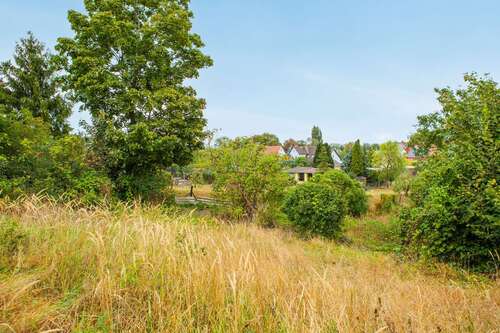 Foto - Grundstück zu verkaufen in Wriezen 69.000,00 € 1200 m²