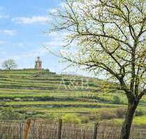 Grundstück zu verkaufen in Wachenheim an der Weinstraße 339.000,00 € 452 m²