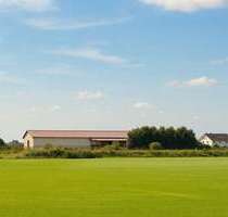 Spezialgewerbe in Ginsheim-Gustavsburg Gustavsburg 2.500.000,00 € 5424 m² - Ginsheim-Gustavsburg / Gustavsburg