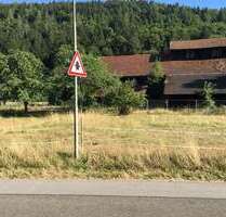 Grundstück in Neuenbürg 590.000,00 € 6200 m²