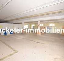 Halle in Naumburg 1.200,00 € 477 m²