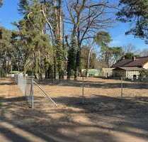 Grundstück in Blankenfelde 90.000,00 € 903 m²