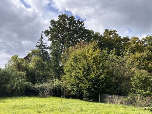 Foto - Haus zum Kaufen in Lappersdorf 630.000,00 € 212 m²