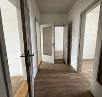 Wohnung zum Mieten in Bautzen 364,00 € 56 m²