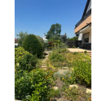 Haus zum Kaufen in Frankenthal 489.800,00 € 170 m²