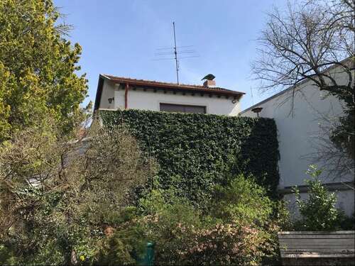 Foto - Haus zum Kaufen in Homburg 800.000,00 € 150 m²