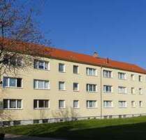 Wohnung zum Mieten in Leipzig 379,97 € 61.45 m²