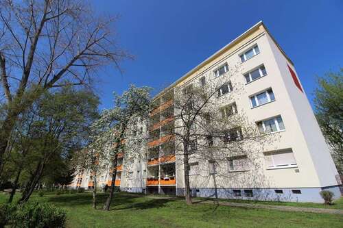 Foto - Wohnung zum Mieten in Halle (Saale) 271,00 € 41.6 m²