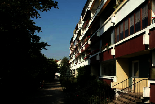 Foto - Wohnung zum Mieten in Dessau-Roßlau 325,00 € 56.82 m²