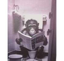 WG-Zimmer in lemgo 349,00 € 15 m²