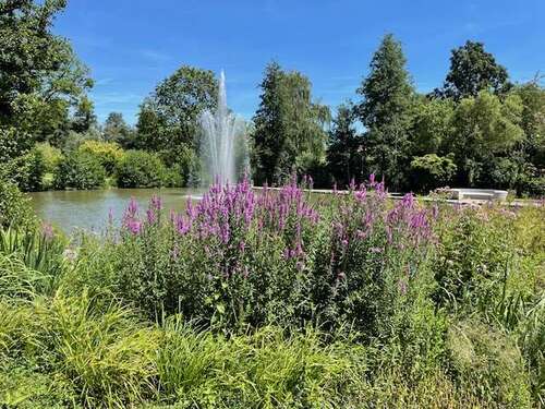 Foto - Wohnung zum Kaufen in Bad Schönborn 799.800,00 € 133.32 m²