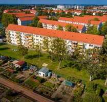 Wohnung zum Mieten in Freiberg 329,00 € 46.96 m²