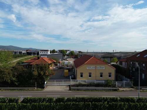 Foto - Halle in Kirrweiler (Pfalz) 990.000,00 € 700 m²