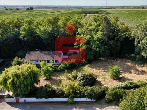 Foto - Haus zum Kaufen in Gerolsheim 699.000,00 € 111.53 m²