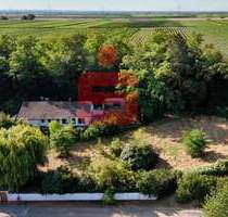 Haus zum Kaufen in Gerolsheim 699.000,00 € 111.53 m²