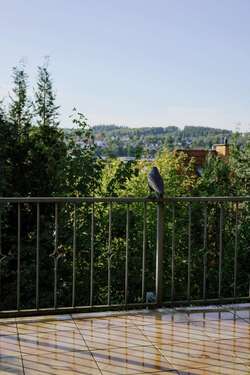 Foto - Haus zum Kaufen in Bad Schwalbach 480.000,00 € 330 m²