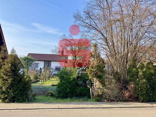 Foto - Grundstück zu verkaufen in Grünstadt 325.000,00 € 596 m²