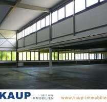 Halle in Gütersloh 2.975,00 € 1128 m²