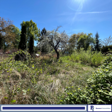 Foto - Grundstück zu verkaufen in Berlin 549.000,00 € 1001 m²