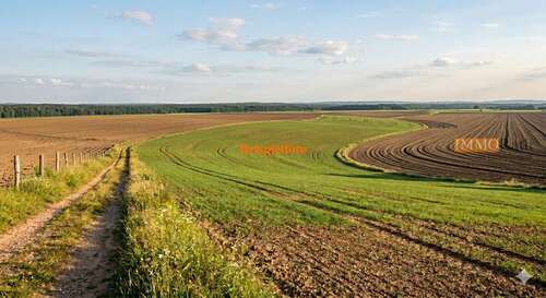 Foto - Grundstück in Vogtsburg im Kaiserstuhl 11.000,00 € 3538 m²