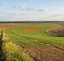Grundstück in Vogtsburg im Kaiserstuhl 11.000,00 € 3538 m²