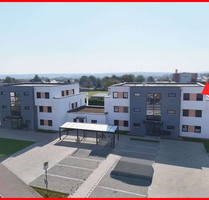 Wohnung zum Kaufen in Walldürn 341.500,00 € 97.32 m²