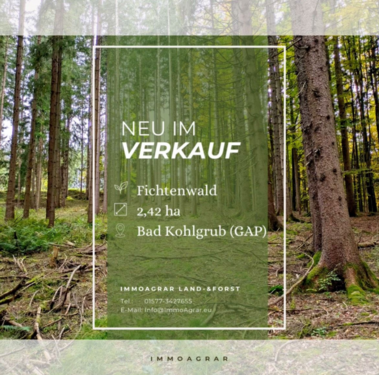 Foto - Grundstück in Bad Kohlgrub 47.300,00 € 24295 m²