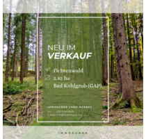 Grundstück in Bad Kohlgrub 47.300,00 € 24295 m²