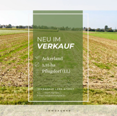 Foto - Grundstück in Vilgertshofen 110.000,00 € 13555 m²