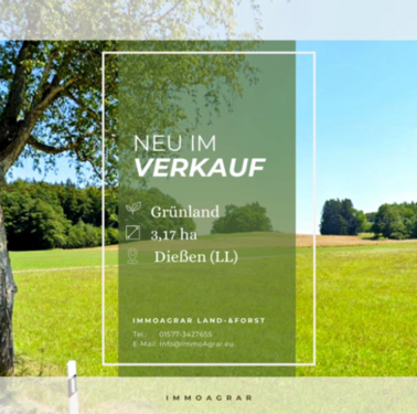 Foto - Grundstück in Dießen 75.000,00 € 31750 m²