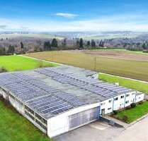 Halle in Pirmasens 650.000,00 € 2060 m²