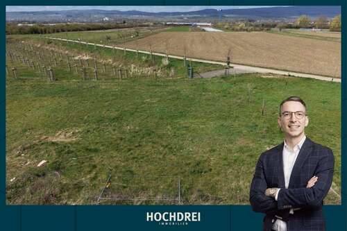 Foto - Grundstück zu verkaufen in Gau-Algesheim 398.970,00 € 429 m²