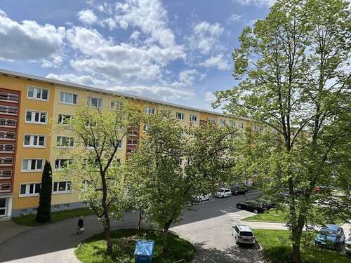 Foto - Wohnung zum Mieten in Chemnitz 255,00 € 42.36 m²