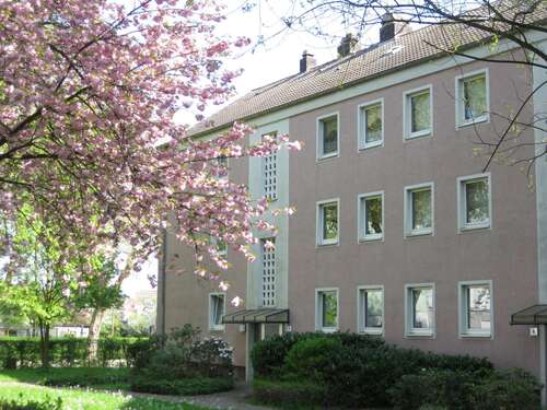 Foto - Wohnung zum Mieten in Gelsenkirchen 310,00 € 41 m²