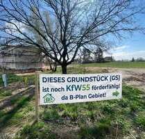 Grundstück zu verkaufen in Ottendorf-Okrilla 149.500,00 € 618.01 m²