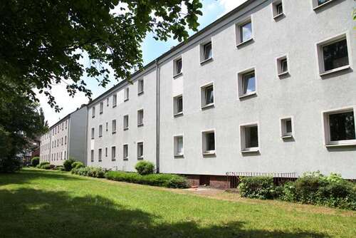 Foto - Wohnung zum Mieten in Gelsenkirchen 330,00 € 45 m²