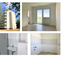 Wohnung zum Mieten in Döbeln 234,00 € 28.45 m²