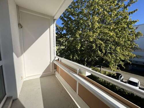 Foto - Wohnung zum Mieten in Chemnitz 310,00 € 57.06 m²